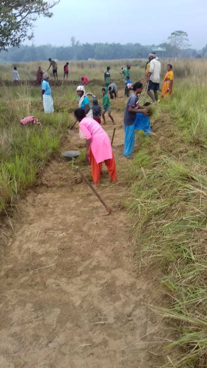 East Singhbhum News : मनरेगा मजदूर, कर्मियों और वेंडरों का चार माह से मानदेय भुगतान बकाया