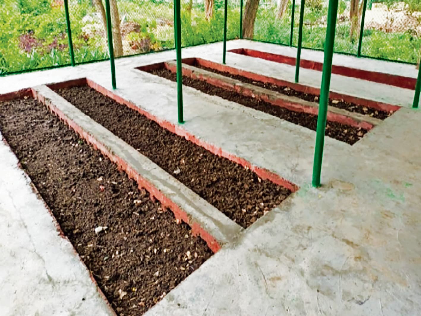 Buxar News: जिले में बनेंगे 346 पक्का वर्मी कंपोस्ट यूनिट और दो बायोगैस प्लांट