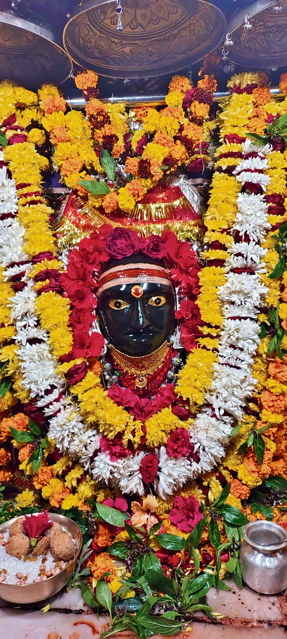 Gopalganj News  : मकर संक्रांति के मौके पर आज थावे में मां सिंहासनी को चढ़ाया जायेगा खिचड़ी महाभोग का प्रसाद