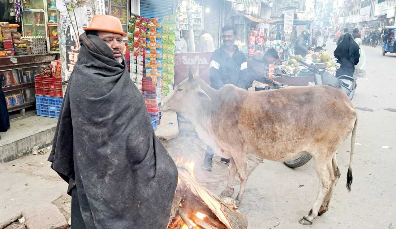 Darbhanga News: शीतलहर का कहर जारी, भरी दोपहरी में छूटती रही कंपकपी