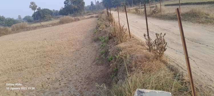 मुखिया व  पीआरएस के विवाद में  दम तोड़ रही पौधरोपण योजना