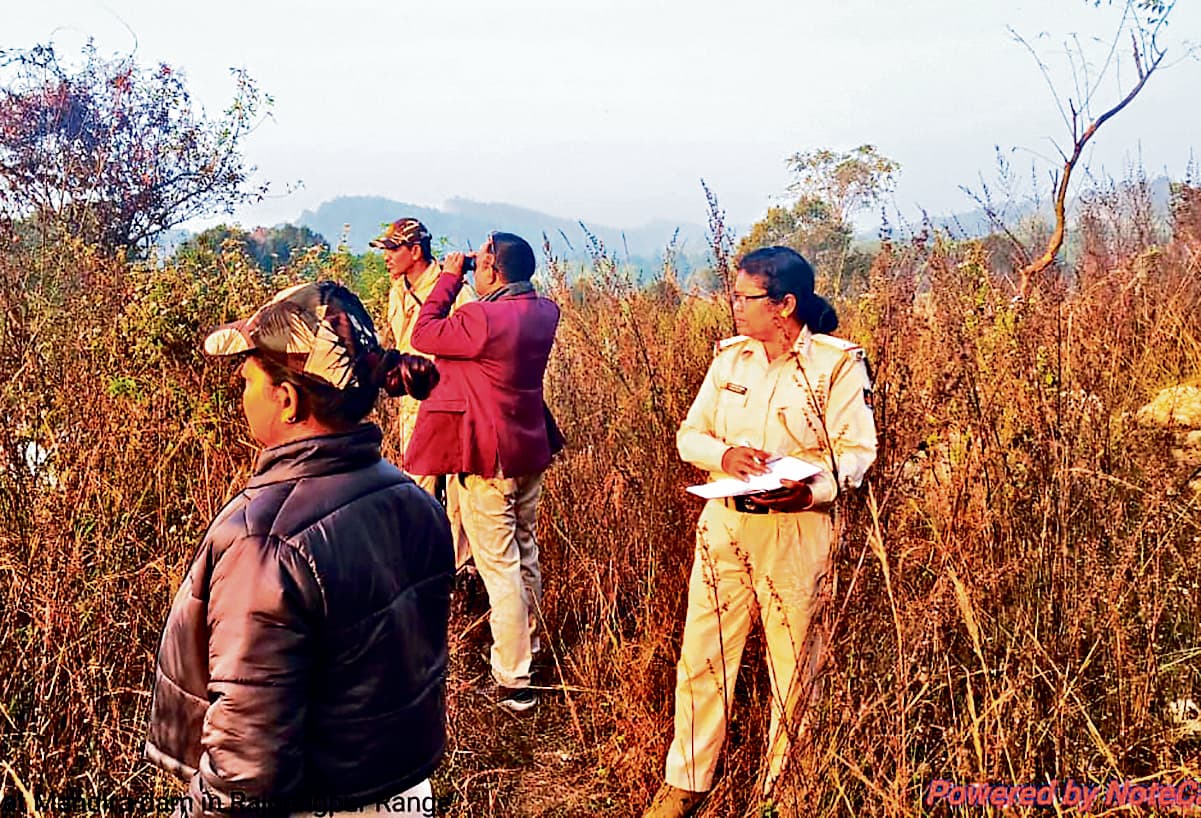 Rourkela News: ओडिशा के 52 वन प्रभाग में पक्षियों की गणना शुरू, विदेशी मेहमानों की संख्या बढ़ने की उम्मीद से वन विभाग उत्साहित