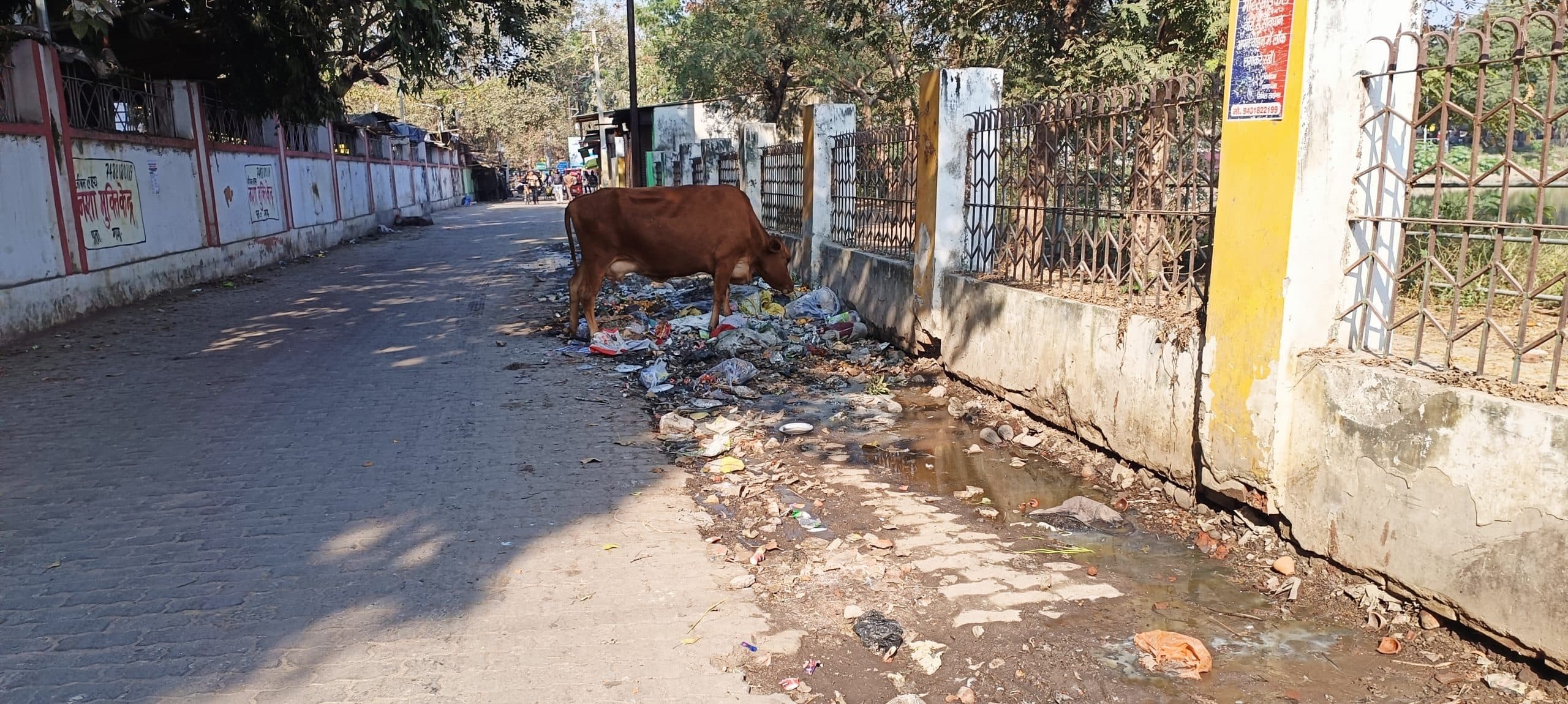 Gaya News : कोर्ट परिसर के बाहर जमा रहता है कचरा, फैल रही दुर्गंध