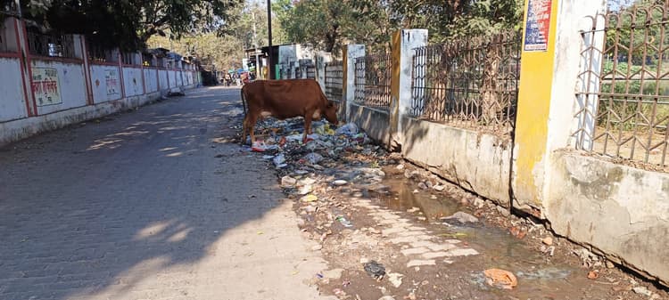 Gaya News : कोर्ट परिसर के बाहर जमा रहता है कचरा, फैल रही दुर्गंध