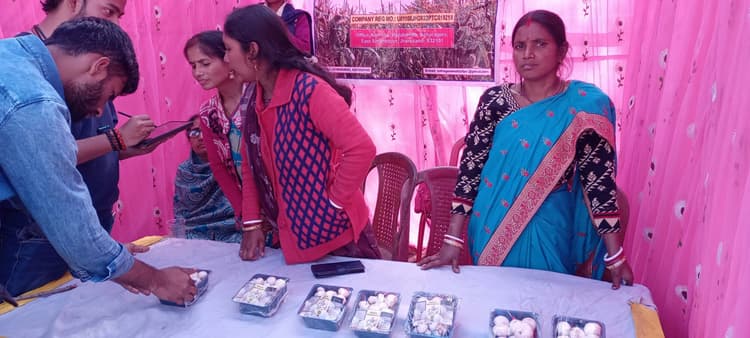 East Singhbhum News :मशरूम उत्पादन कर 60 महिलाएं बनीं आत्मनिर्भर