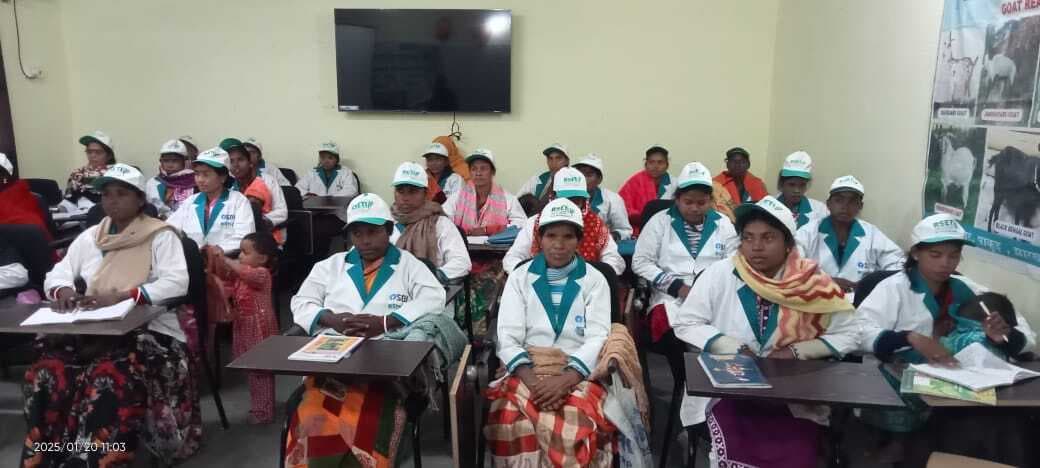 ग्रामीण महिलाएं मुर्गी पालन व अचार-पापड़ का व्यवसाय कर बन रही हैं आत्मनिर्भर