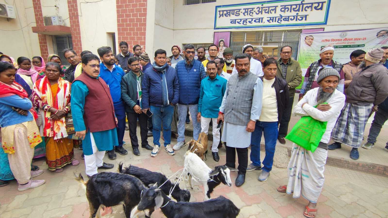 लाभुकों ने बकरा-बकरी लेने से किया इंकार, कमजोर व बीमार देने का लगाया आरोप