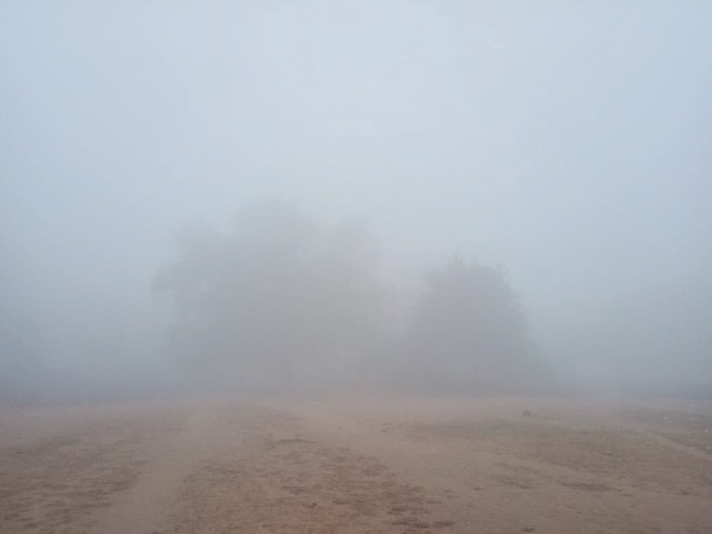 कुहासे से पटा रहा आसमान, ठंड से लोग रहे बेहाल