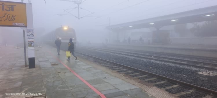 घने कोहरे व  सर्द हवाओं से आम जनजीवन प्रभावित