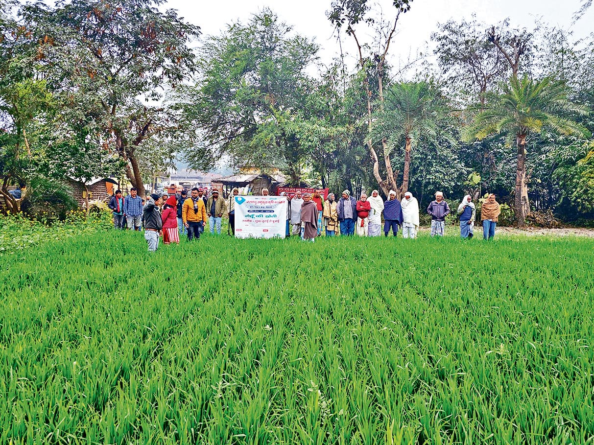 Hajipur News : अच्छी उपज के लिए खेतों में लगाएं एक से ज्यादा फसलें