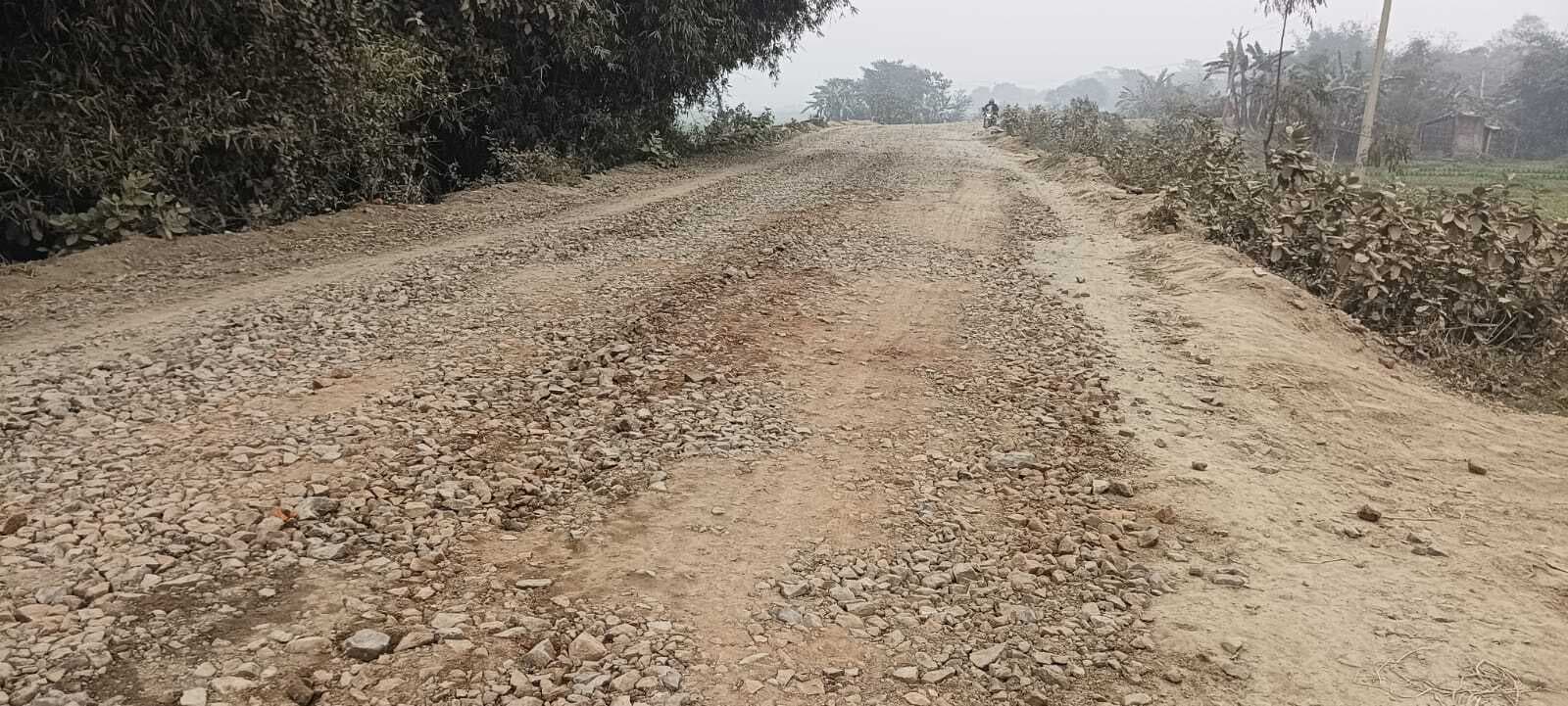 पथ के जीर्णोद्धार कार्य में बरती जा रही अनियमितता, पोषक क्षेत्र के लोगों में पनप रही नाराजगी