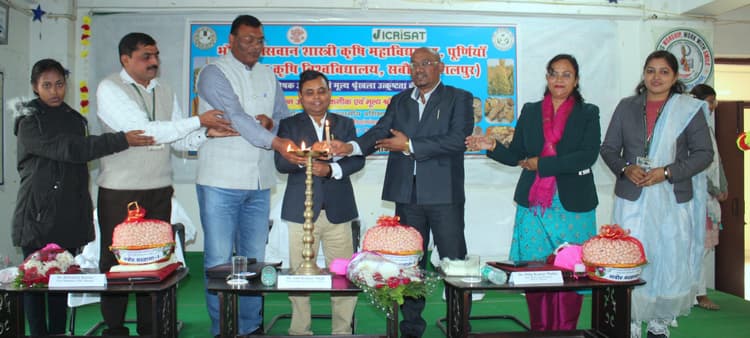 मोटे अनाज में पोषक तत्वों की प्रचुरता, उत्पादन को बढ़ावा देने की जरूरत : डॉ एके सिंह