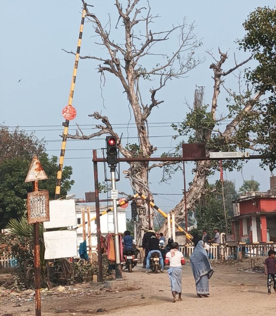 रेलवे समपार के बूम को भैंसा ने तोड़ा, हुई परेशानी
