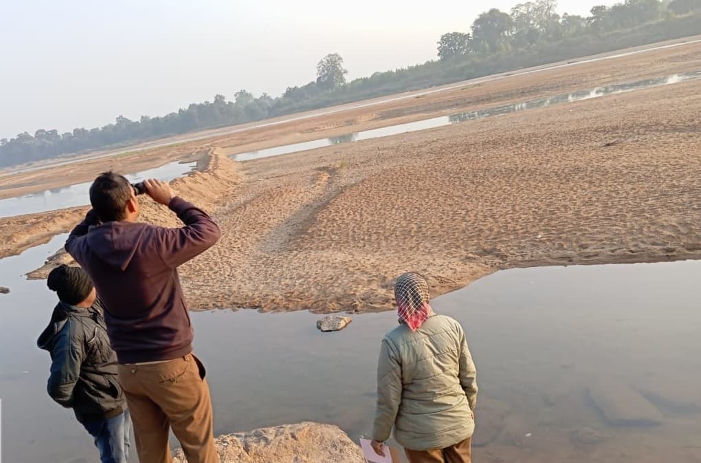 Rourkela News: राउरकेला वन क्षेत्र में 31 प्रजातियों के 13170 देसी व विदेशी पक्षी मिले