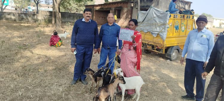 15 लोगों को मिला सीएम पशुधन योजना का लाभ