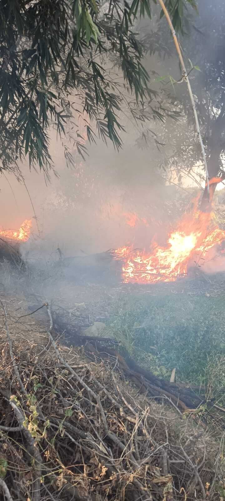 Giridih News: अगलगी में बिचाली जलकर राख