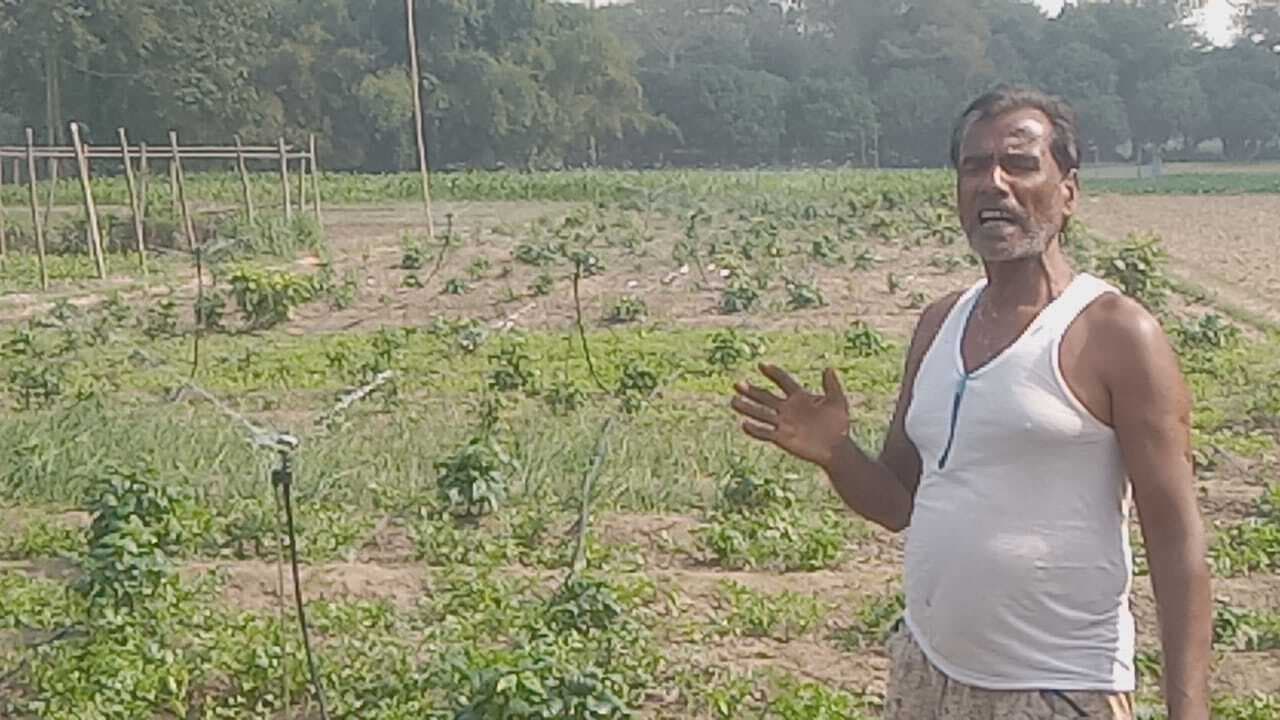 सरकारी योजना के अनुदान के लिए भटक रहे लाभुक