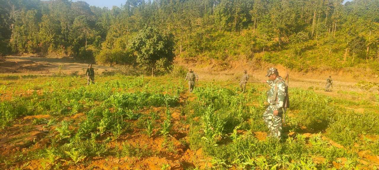 Chaibasa News : वन विभाग ने 65 बोटा साल की लकड़ी जब्त किया