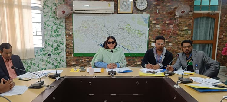 बैंक पंचायतों व गावों में बैंकिंग सेवाओं को करे सुदृढ़ : डीसी