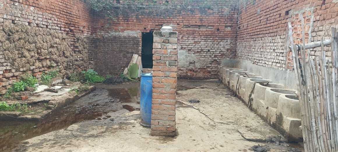 पैक्स गोदाम बना गौशाला और सीमेंट का गोदाम