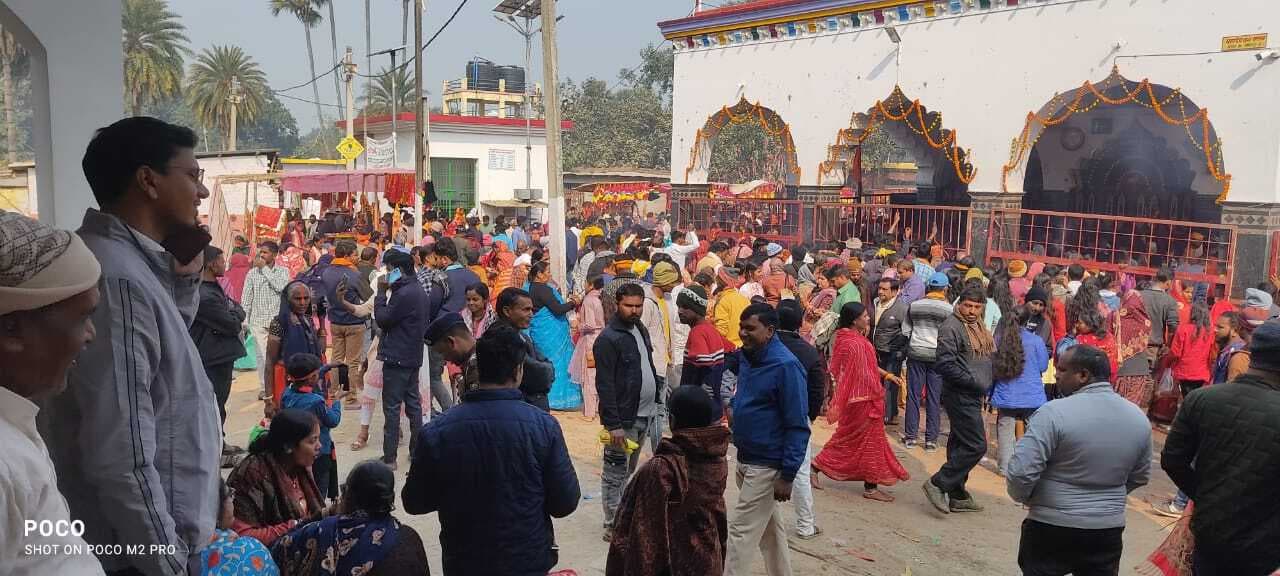 तेलडीहा दुर्गा मंदिर में हुई 1691 पाठा की बलि