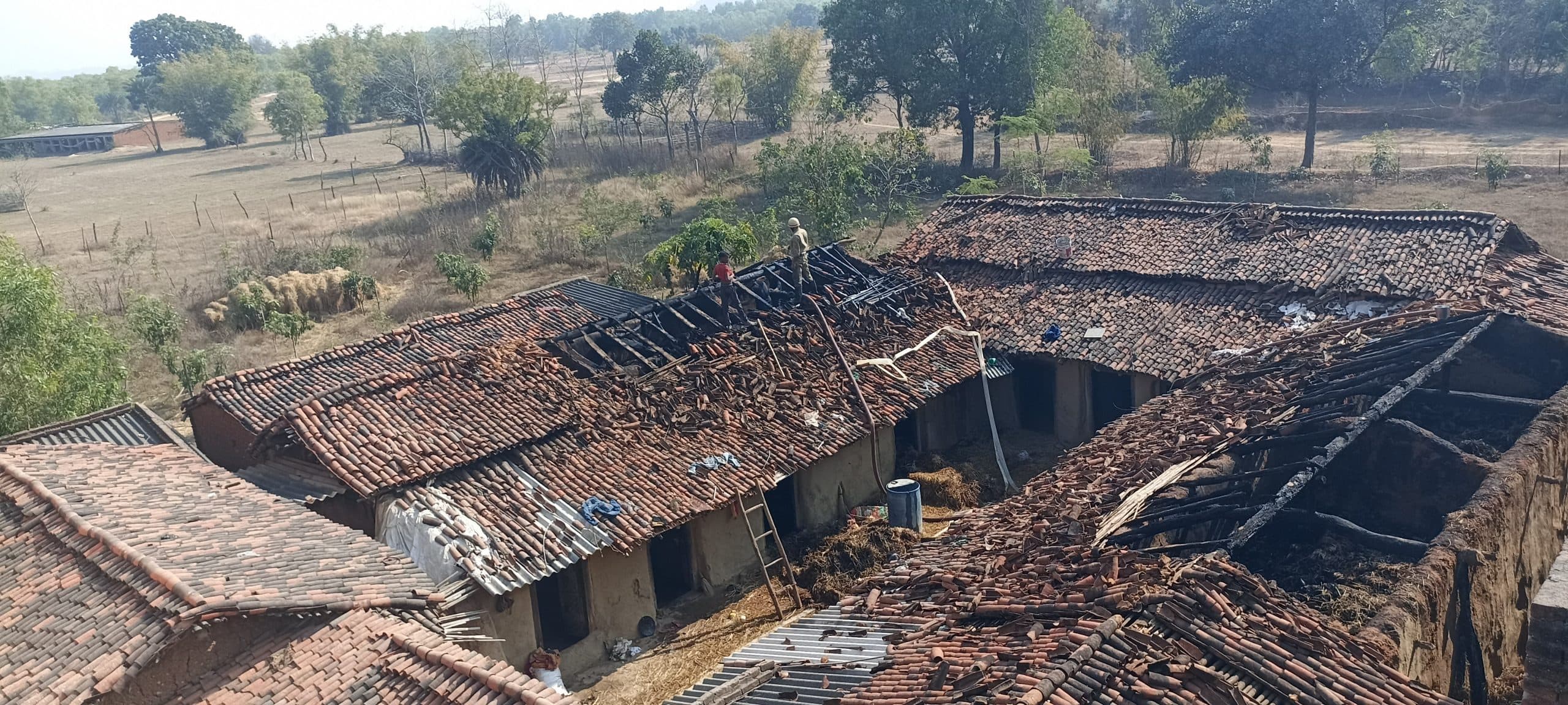 Giridih News: अगलगी से खपरैल का मकान जला, 14 परिवार बेघर