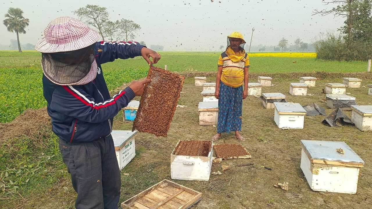 शहद उत्पादन कर परिवार का भविष्य संवार रहे हैं रामू