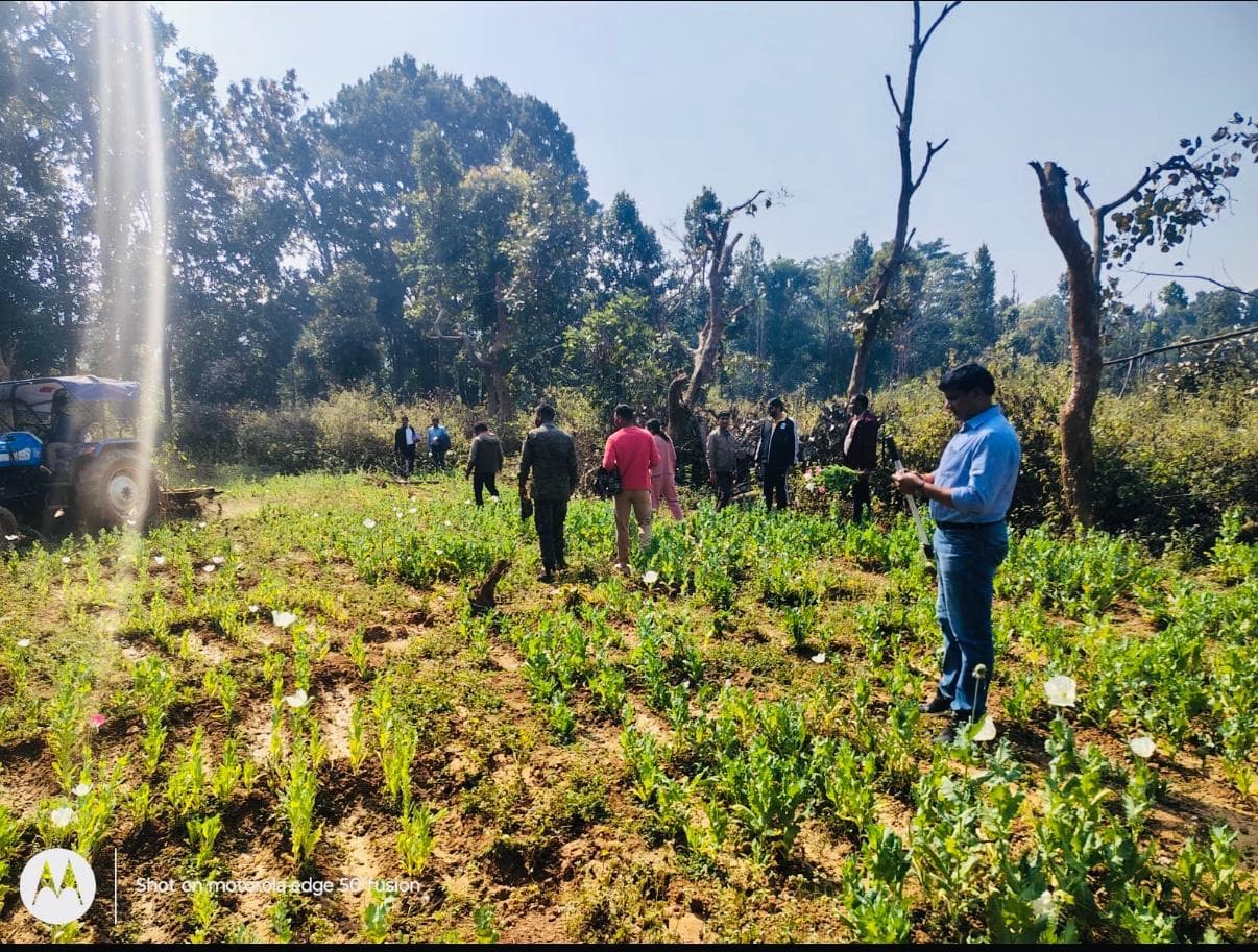 हर हाल में अफीम की अवैध खेती करने वाले जायेंगे जेल : डीसी