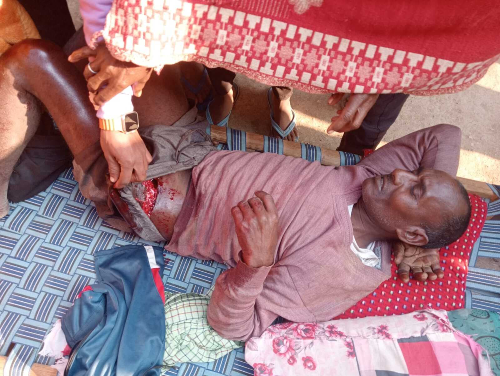 Bokaro News : रजरप्पा रोड के जंगल में अधेड़ को हाथी ने पटका, गंभीर