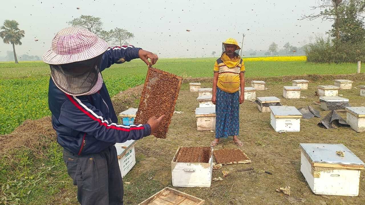 शहद उत्पादन कर परिवार का भविष्य संवार रहे रामू