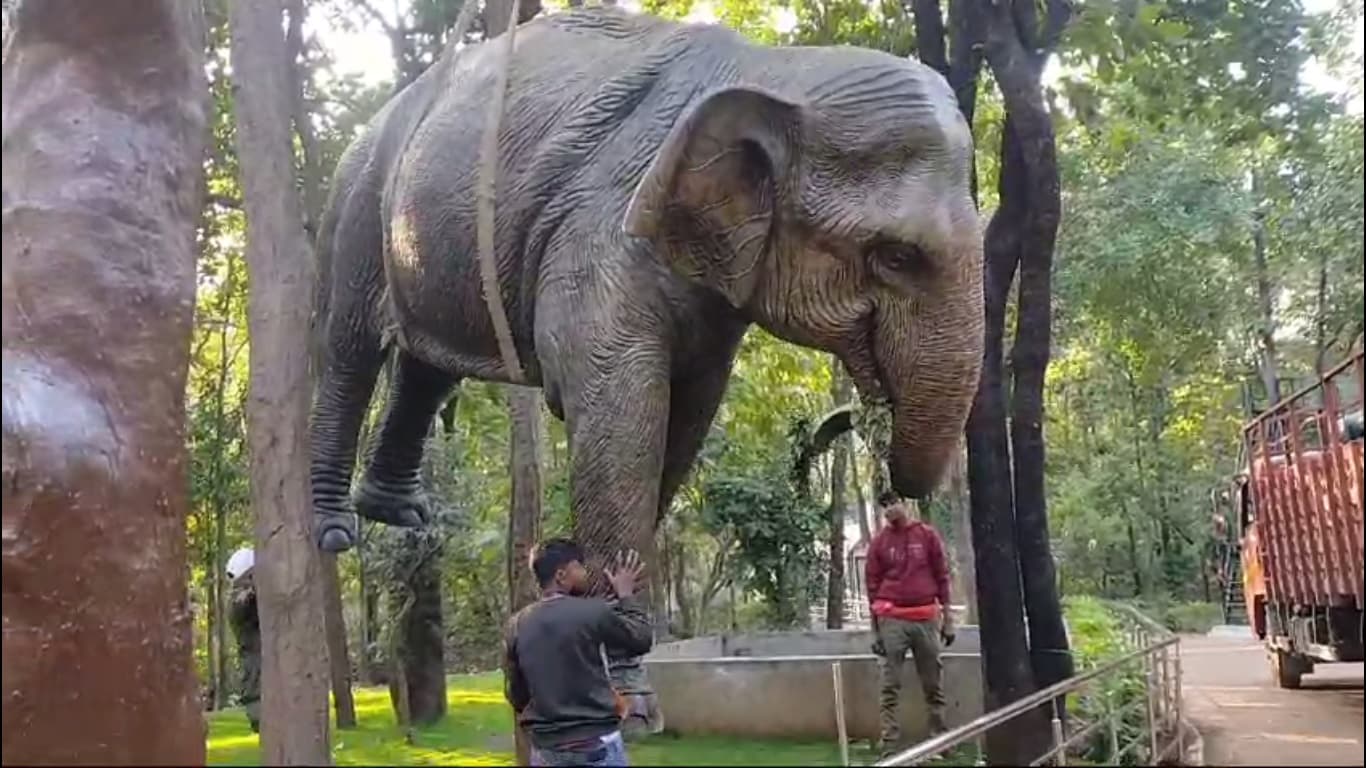 Video: दलमा वाइल्डलाइफ सैंक्चुअरी के गेट पर पर्यटकों का स्वागत करेंगे विशालकाय हाथी