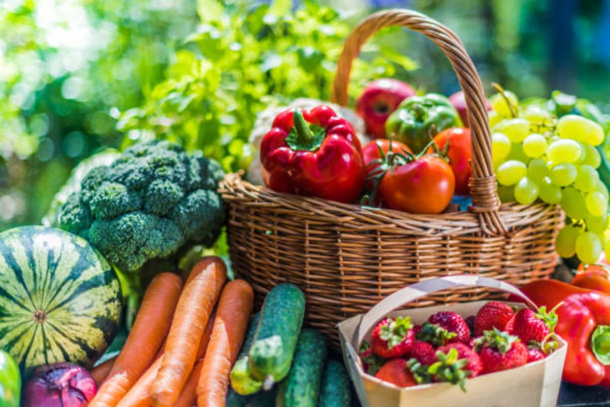 Vegetarian Protein Sources : मांसाहारी को पीछे छोड़ देगा यह शाकाहारी प्रोटीन फूड्स, जानें 5 बेहतरीन विकल्प