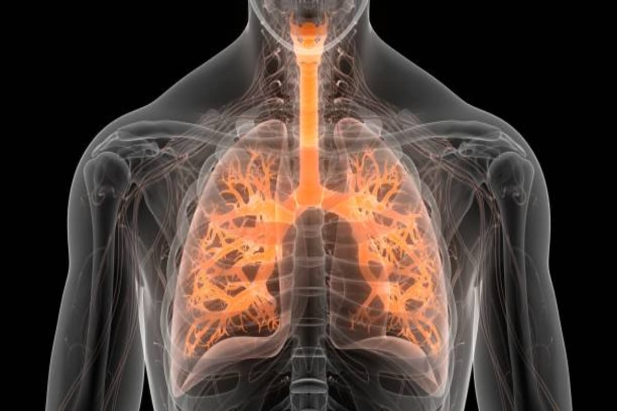 Health Tips: इन लक्षणों को भूलकर भी न करें नजरअंदाज, फेफड़े खराब होने से पहले के हैं संकेत