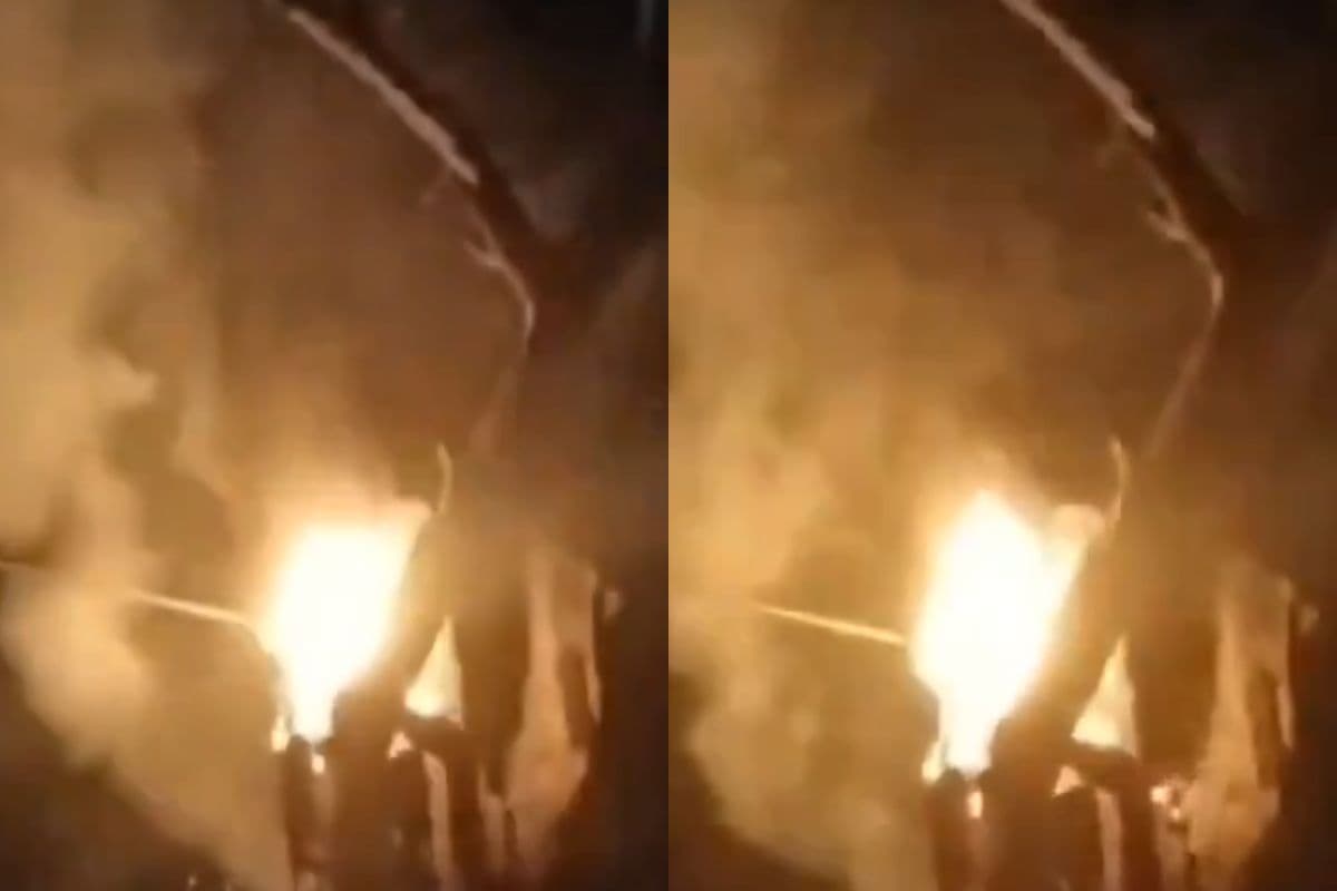 पत्नी से विवाद के बाद हाई टेंशन तार पकड़कर व्यक्ति ने की आत्महत्या, देखें वीडियो