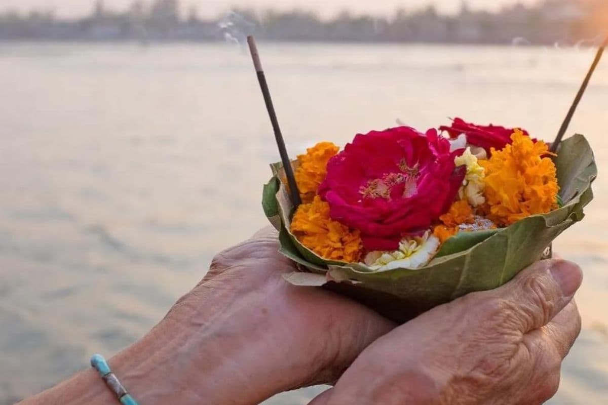 मौनी अमावस्या पर किन पेड़ों की पूजा करना है शुभ, यहां जानें इसके फायदे