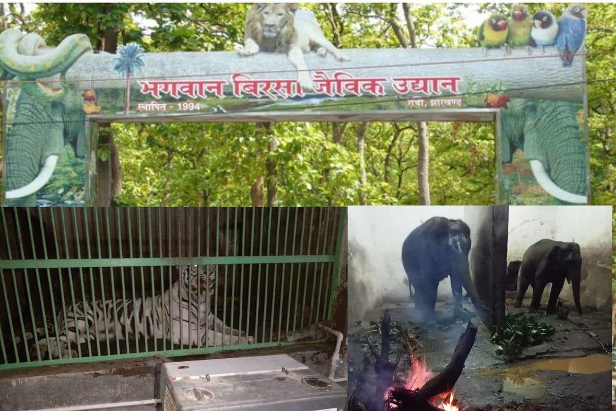 ormanjhi zoo ranchi