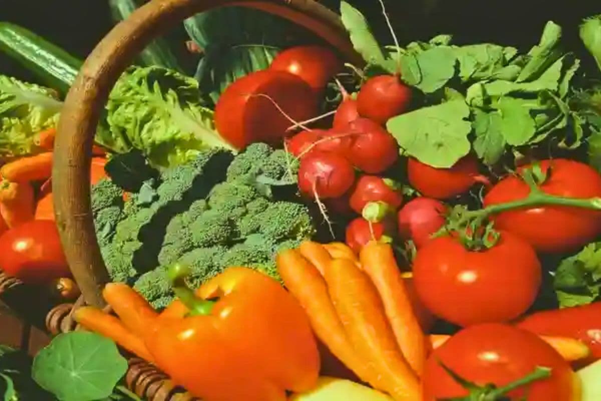 Farming: मार्च में शुरू करें इन 3 सब्जियों की खेती और गर्मियों में पाएं शानदार मुनाफा