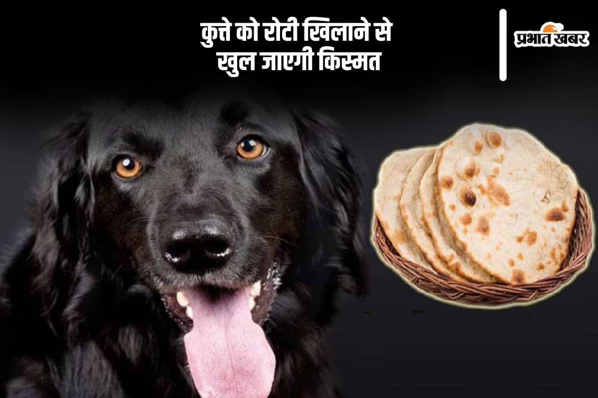 Astro Tips feeding dog in Hindi