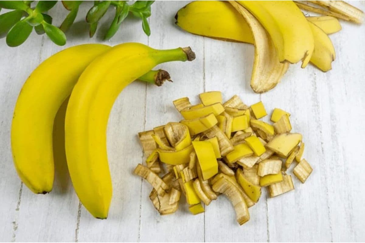 Banana Peel Benefits: केले के छिलके से चमक उठेगा अपका घर और स्किन,जानें यह ट्रिक्स