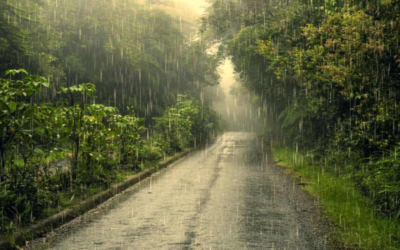 Bihar Weather: बिहार के इन 12 जिलों में लगातार दो दिन तेज हवाओं के साथ होगी बारिश! मेघगर्जन का भी IMD ने जारी किया अलर्ट