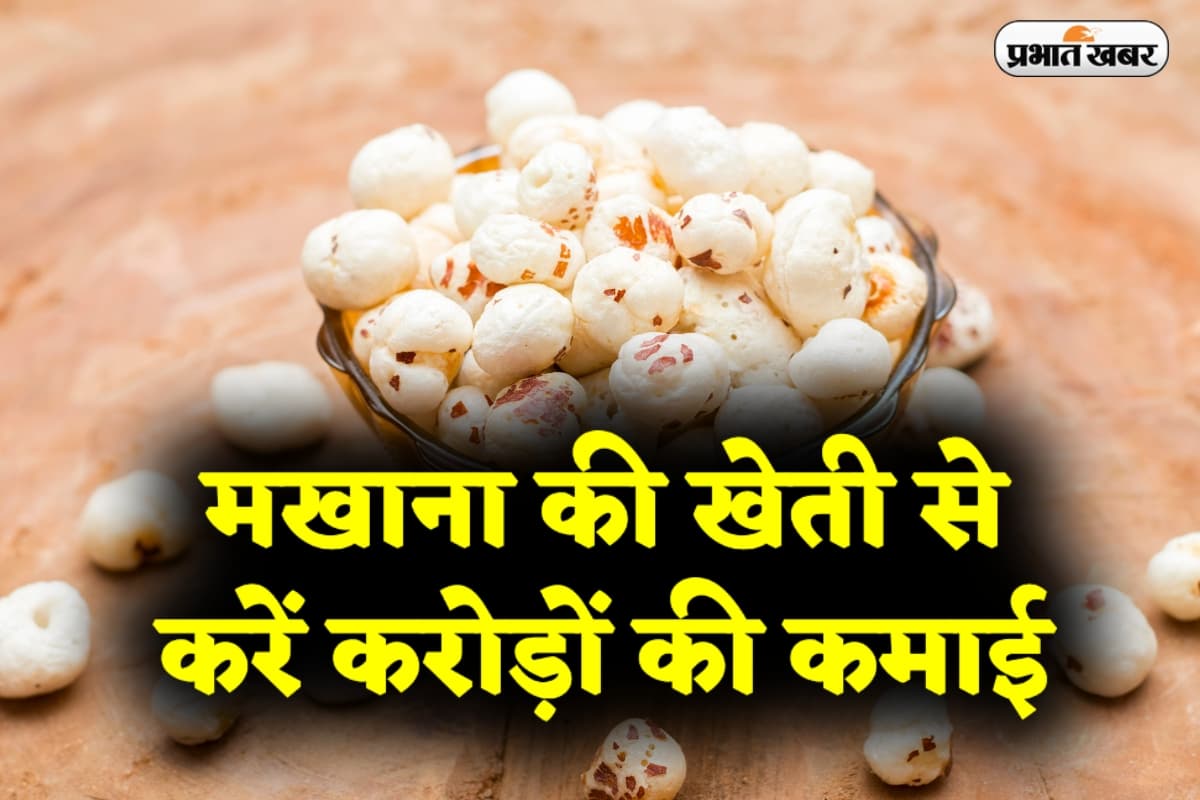 Business Idea: मखाना की खेती से करें करोड़ों की कमाई, जानें इस शानदार बिजनेस आइडिया के बारे में
