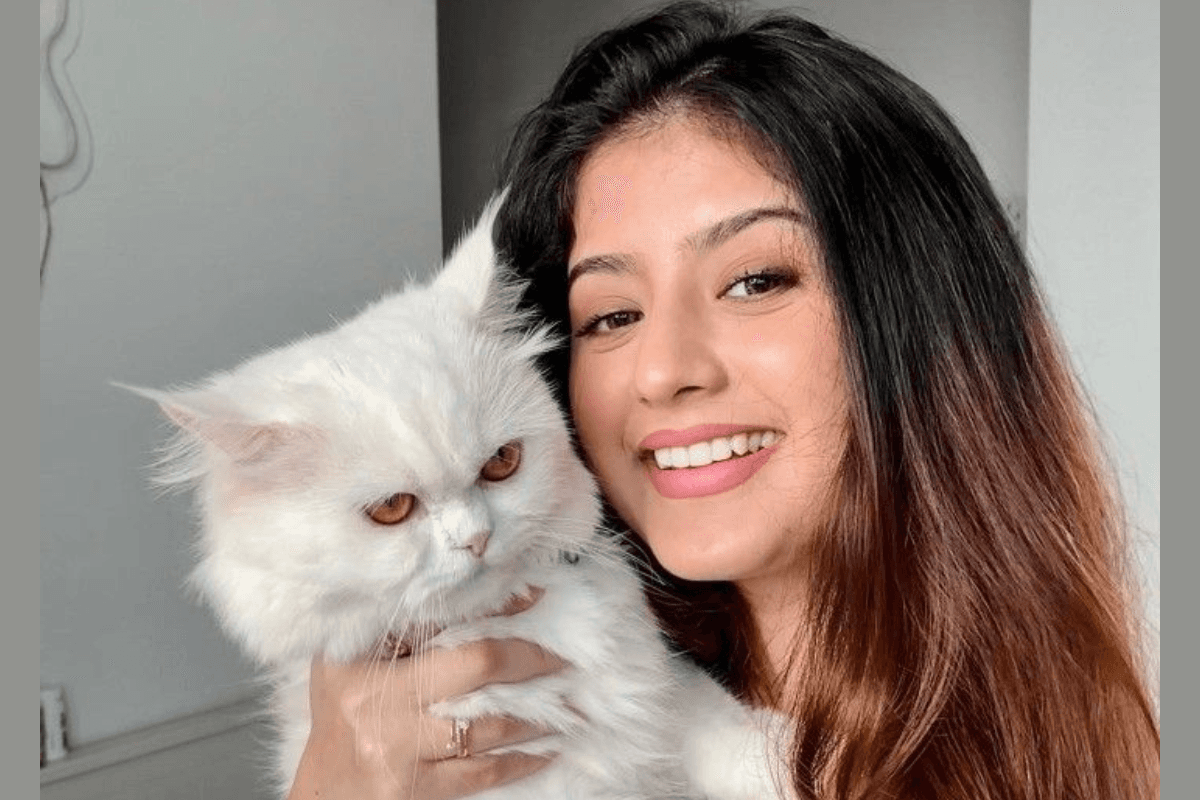 Cat Lovers Personality Traits, Arishfa khan Cat Lovers Personality Traits, Arishfa khan