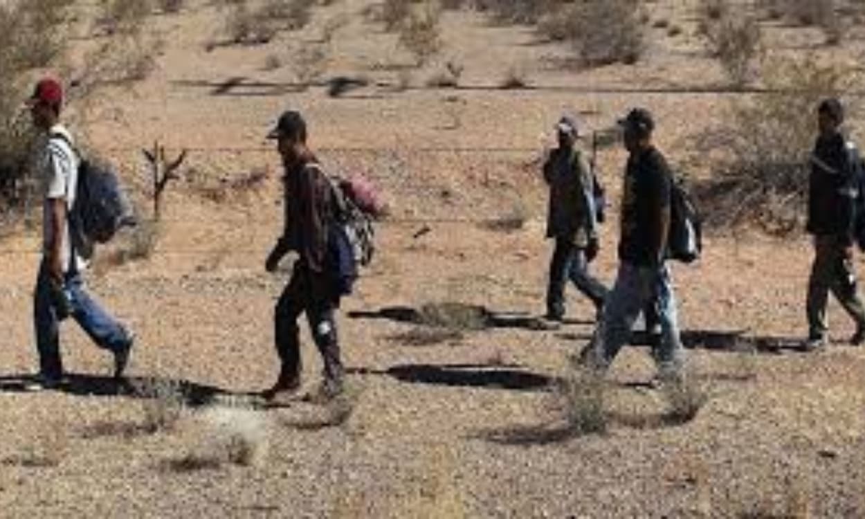 डंकी रूट आखिर है क्या? कैसे बिना वीजा अमेरिका पहुंच जाते हैं लोग