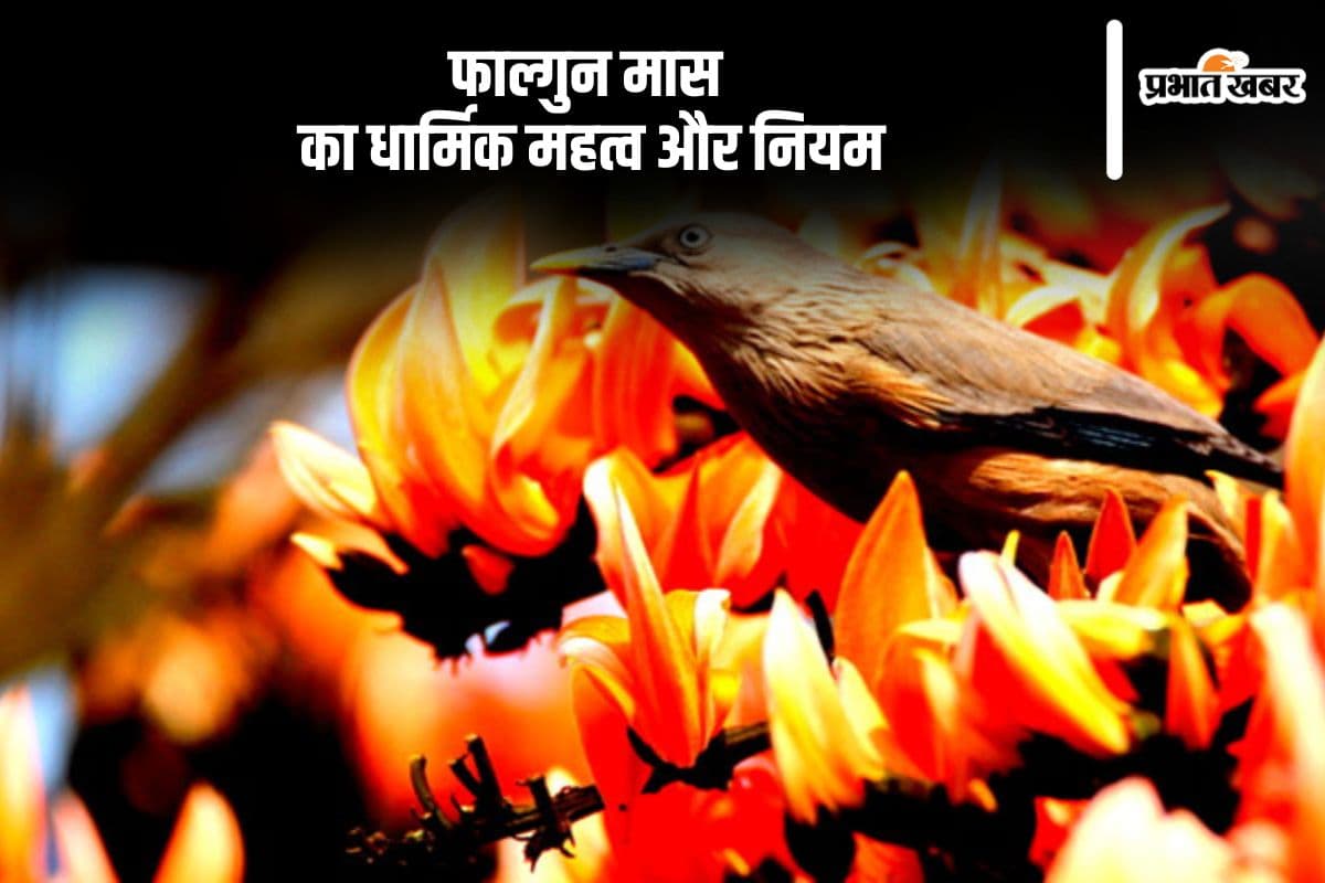 हिंदू पंचांग का आखिरी माह फाल्गुन कल से शुरू, जानें इसका धार्मिक महत्व और नियम