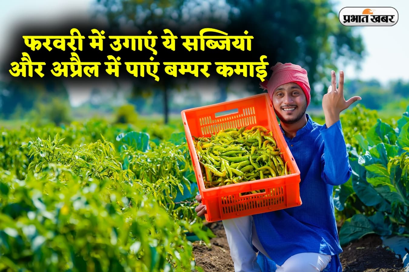 Farming: फरवरी में उगाएं ये सब्जियां और अप्रैल में पाएं बम्पर कमाई