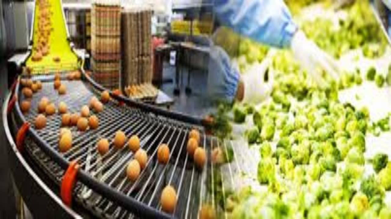 भागलपुर में फूड प्रोसेसिंग यूनिट से किसानों को होगा दोगुना लाभ, पैक हाउस और प्रोसेसिंग यूनिट की तैयारी