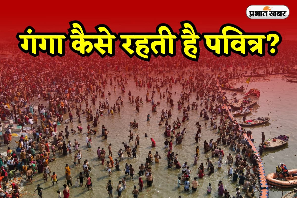 Ganga River Video: गंगा जल में कीटाणुओं को 50 गुना तेजी से खत्म करने की क्षमता, विशेषज्ञ का दावा- अब भी नहाने लायक है पानी