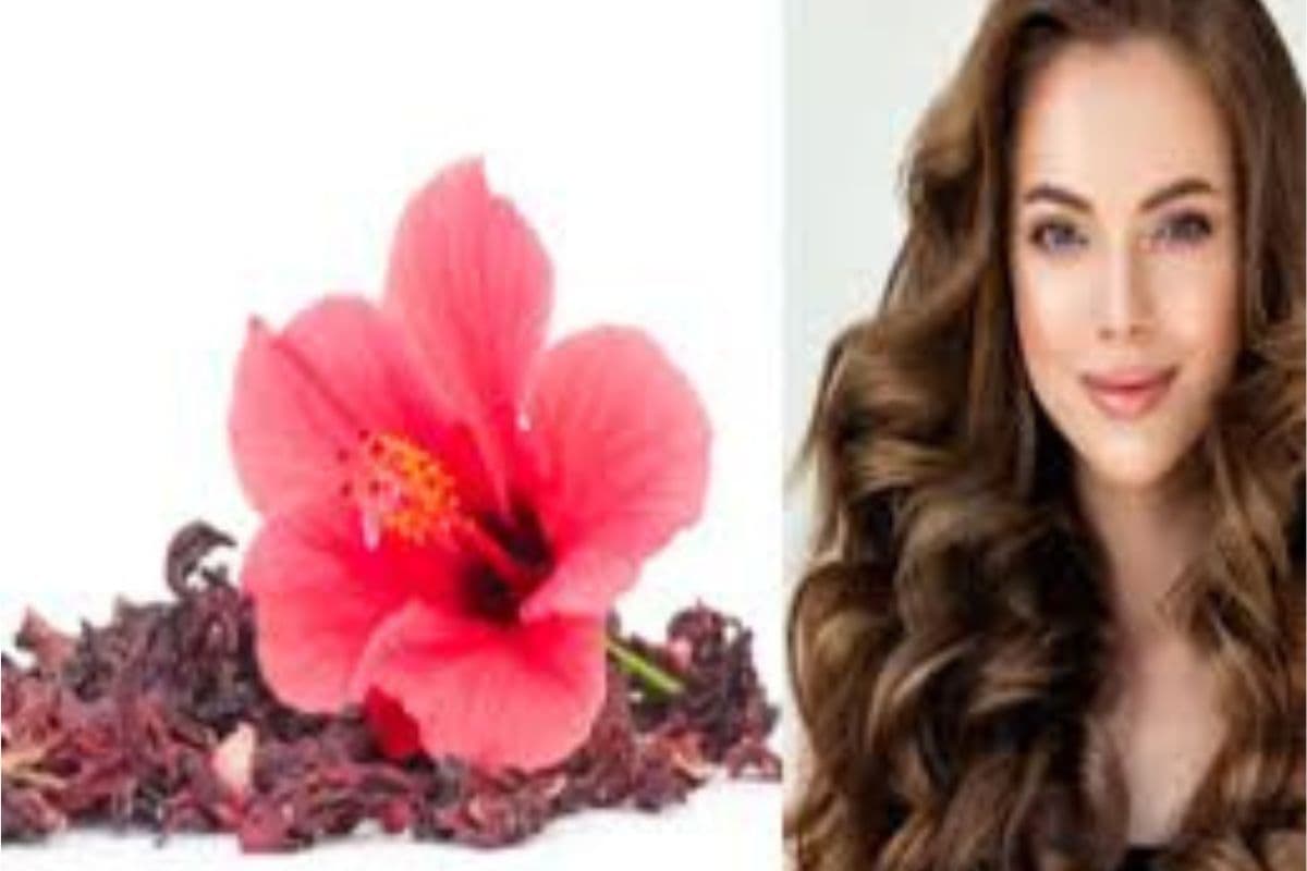 Hibiscus Flower Benefits For Hair : गुड़हल के फूल से पाएं सिल्की और मुलायम बाल, जानें आसान तरीके