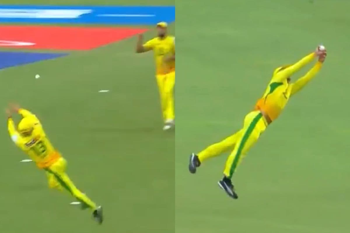 Video: बाज की नजर और चीते की छलांग! 40 साल के फाफ डुप्लेसी ने डाइव लगाकर पकड़ा कैच, देखें वीडियो