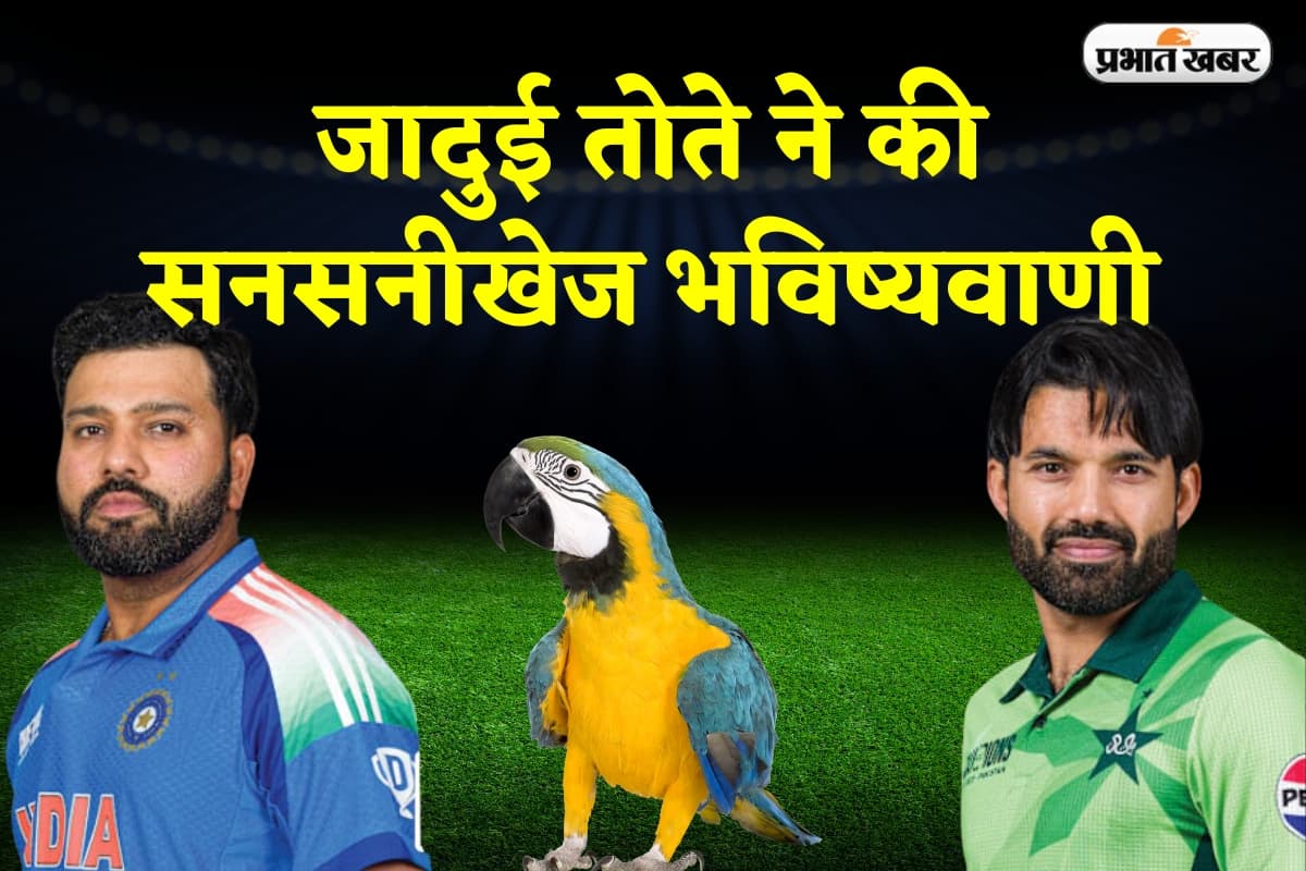 मियां... भारत जीतेगा या पाकिस्तान? जादुई तोते ने की सनसनीखेज भविष्यवाणी, फैंस रह गए हैरान